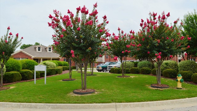 Brazos Village Photo #5