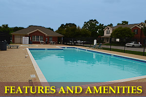 Features and Amenities